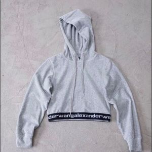 Alexander wang crop hoodie new season